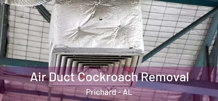  Air Duct Cockroach Removal Prichard - AL
