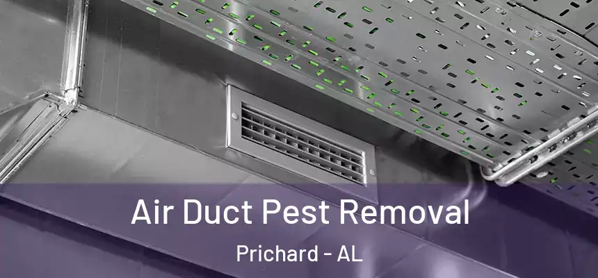 Air Duct Pest Removal Prichard - AL