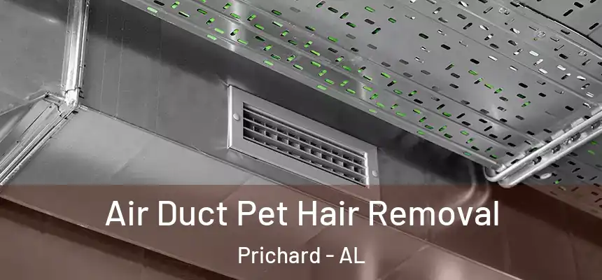 Air Duct Pet Hair Removal Prichard - AL