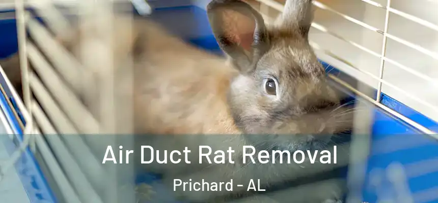 Air Duct Rat Removal Prichard - AL