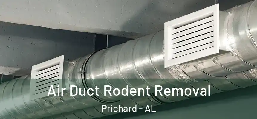 Air Duct Rodent Removal Prichard - AL