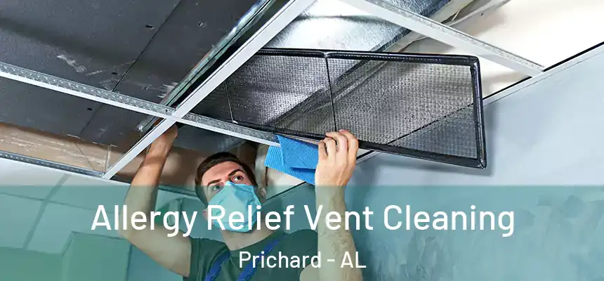  Allergy Relief Vent Cleaning Prichard - AL