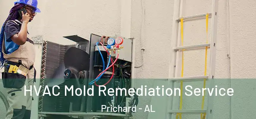 HVAC Mold Remediation Service Prichard - AL