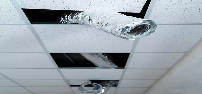 Affordable HVAC Sanitizing After Pest Removal in Prichard