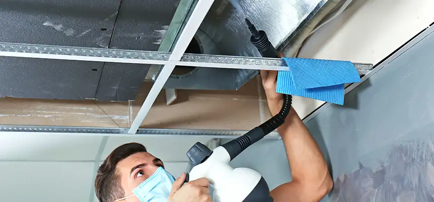 Our Air Duct Rodent Removal Services in Prichard, AL