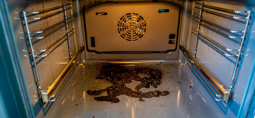 Our Dryer Vent Mold Cleaning Services in Prichard, AL