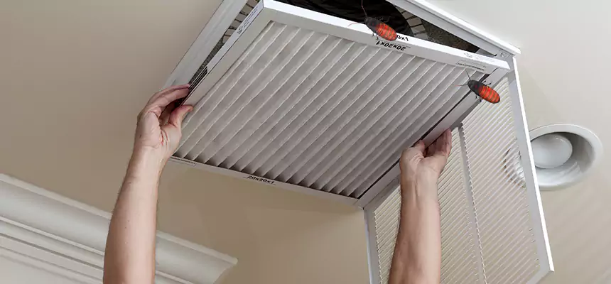 Our Insect Removal from Air Ducts Services in Prichard, AL