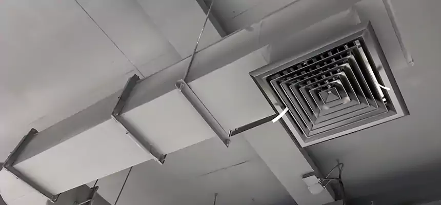 Our Pest Removal From Ducts Services in Prichard, AL