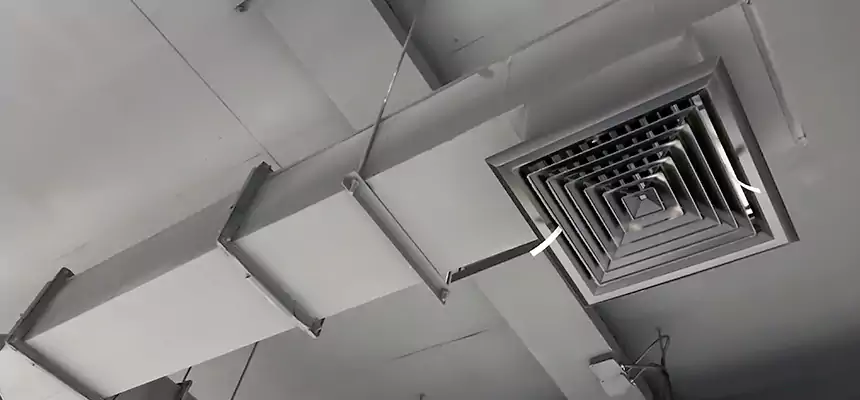 Our Rodent Droppings In Vents Services in Prichard, AL