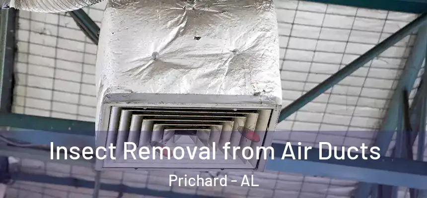 Insect Removal from Air Ducts Prichard - AL