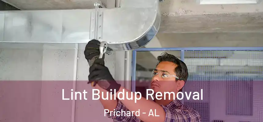 Lint Buildup Removal Prichard - AL