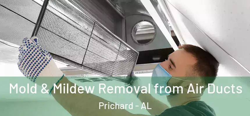  Mold & Mildew Removal from Air Ducts Prichard - AL