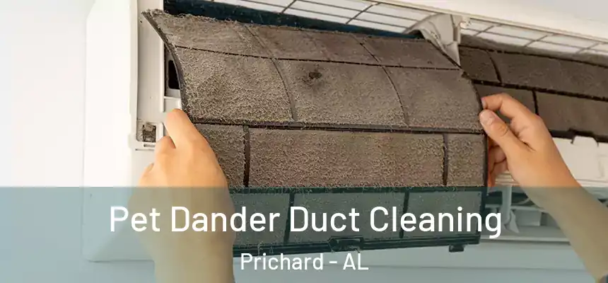 Pet Dander Duct Cleaning Prichard - AL