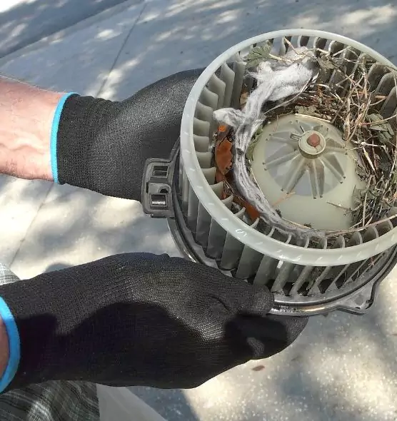 About Air Duct Mice Removal in Prichard, AL