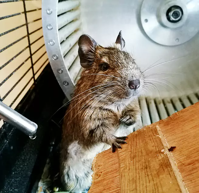 Why Homeowners & Businesses Trust Us Prichard, AL?