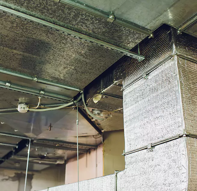 Why Homeowners & Businesses Trust Us in Prichard, AL?