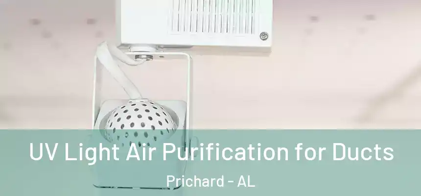  UV Light Air Purification for Ducts Prichard - AL